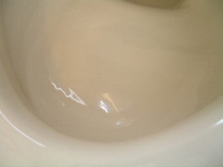 toilet-bowl100611.JPG